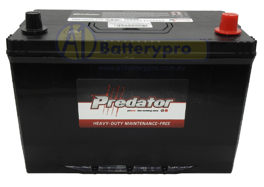 Picture of N70ZZL - 12VOLT 750CCA PREDATOR MAINTENANCE FREE CALCIUM BATTERY - RHP
