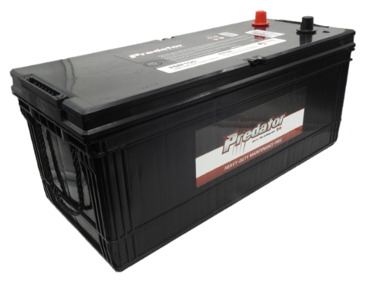 Picture of MF150 - 12VOLT 1000CCA PREDATOR MAINTENANCE FREE CALCIUM BATTERY - RHP
