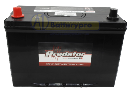 Picture of N70ZZ - 12VOLT 680CCA PREDATOR MAINTENANCE FREE CALCIUM BATTERY