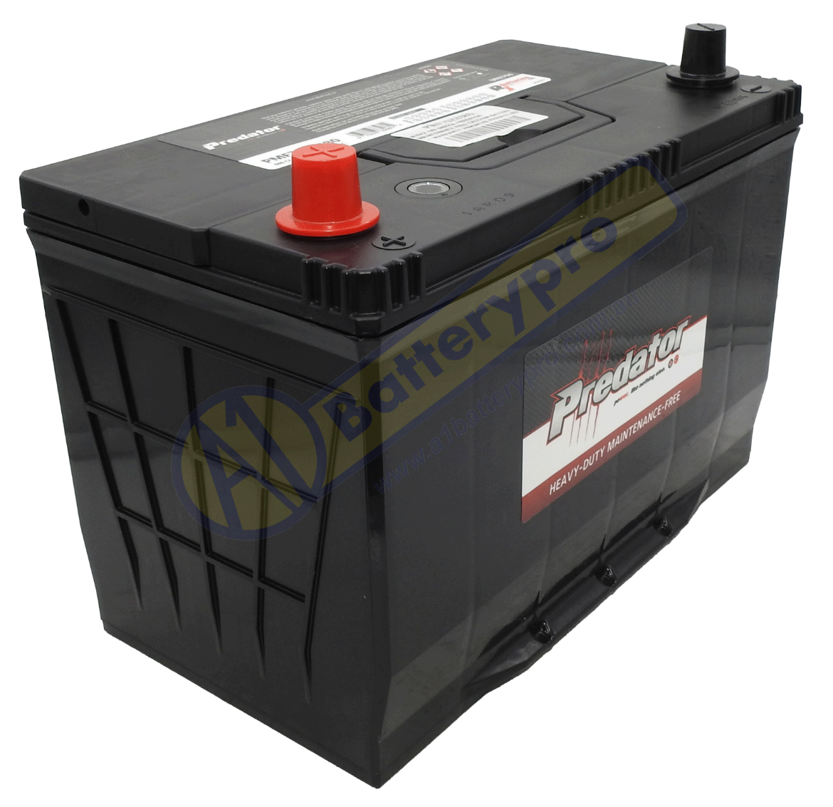 Picture of N70ZZ - 12VOLT 680CCA PREDATOR MAINTENANCE FREE CALCIUM BATTERY