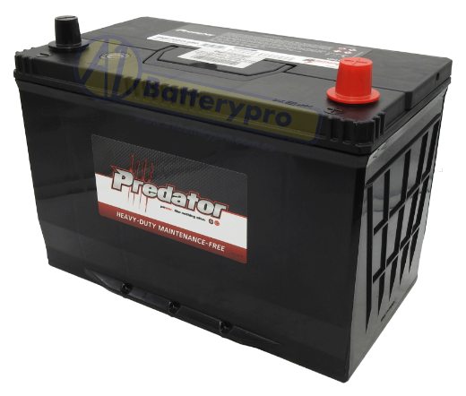 Picture of N70ZZL - 12VOLT 680CCA PREDATOR MAINTENANCE FREE CALCIUM BATTERY - RHP