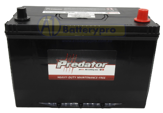 Picture of N70ZZL - 12VOLT 680CCA PREDATOR MAINTENANCE FREE CALCIUM BATTERY - RHP
