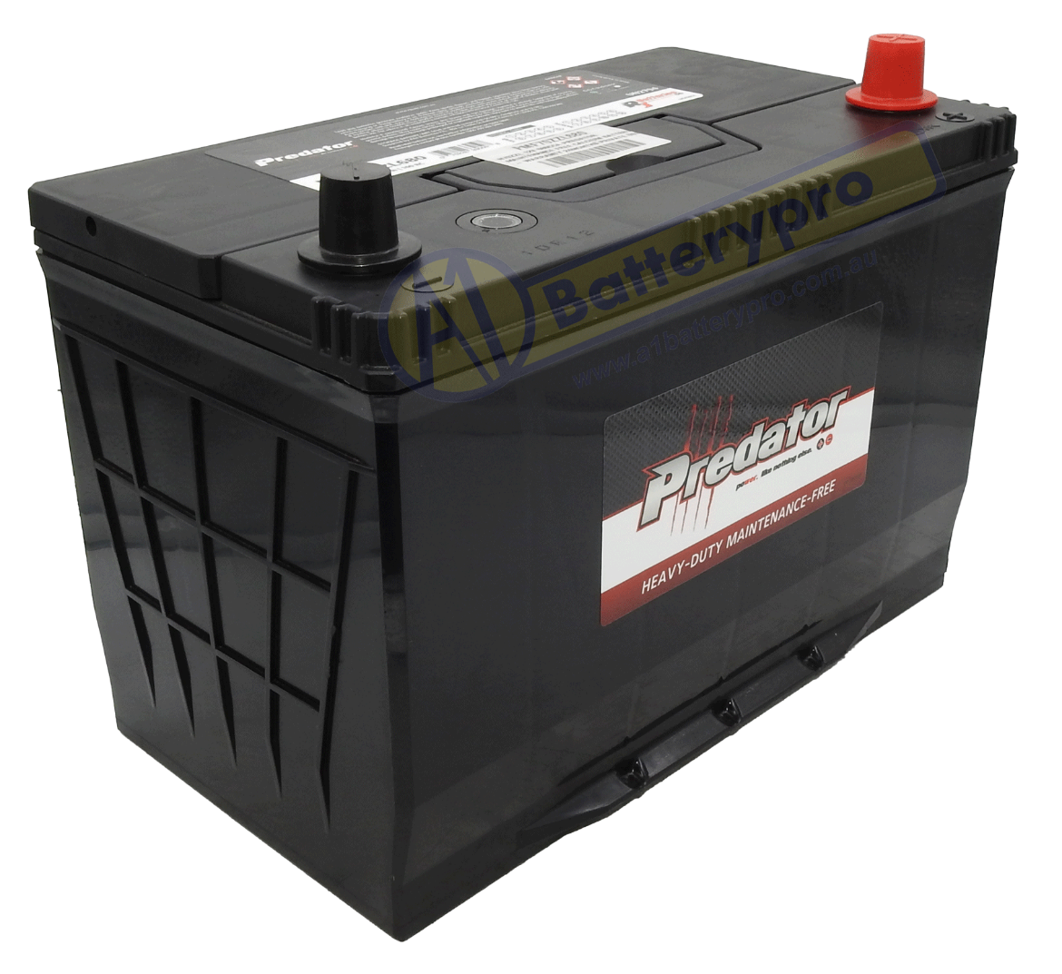 Picture of N70ZZL - 12VOLT 680CCA PREDATOR MAINTENANCE FREE CALCIUM BATTERY - RHP