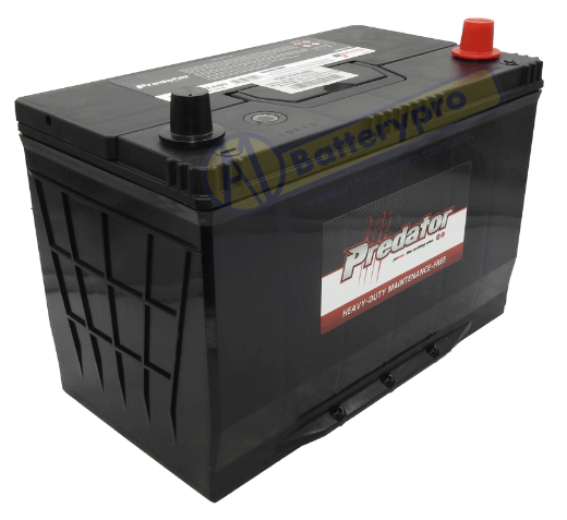 Picture of N70ZZL - 12VOLT 680CCA PREDATOR MAINTENANCE FREE CALCIUM BATTERY - RHP