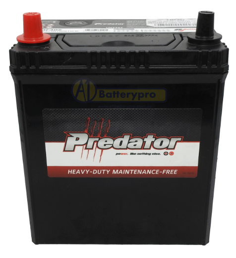 Picture of NS40Z - 12VOLT 300CCA PREDATOR CALCIUM MAINTENANCE FREE BATTERY - LHP