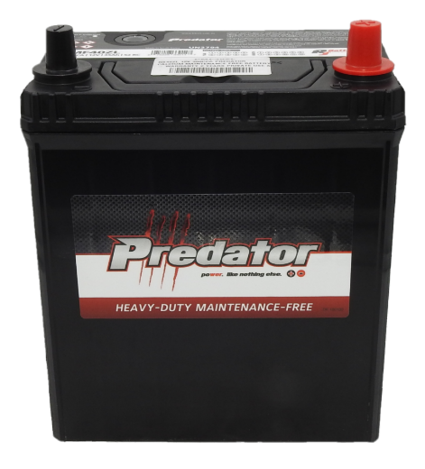Picture of NS40ZL - 12VOLT 300CCA PREDATOR CALCIUM MAINTENANCE FREE BATTERY  - RHP