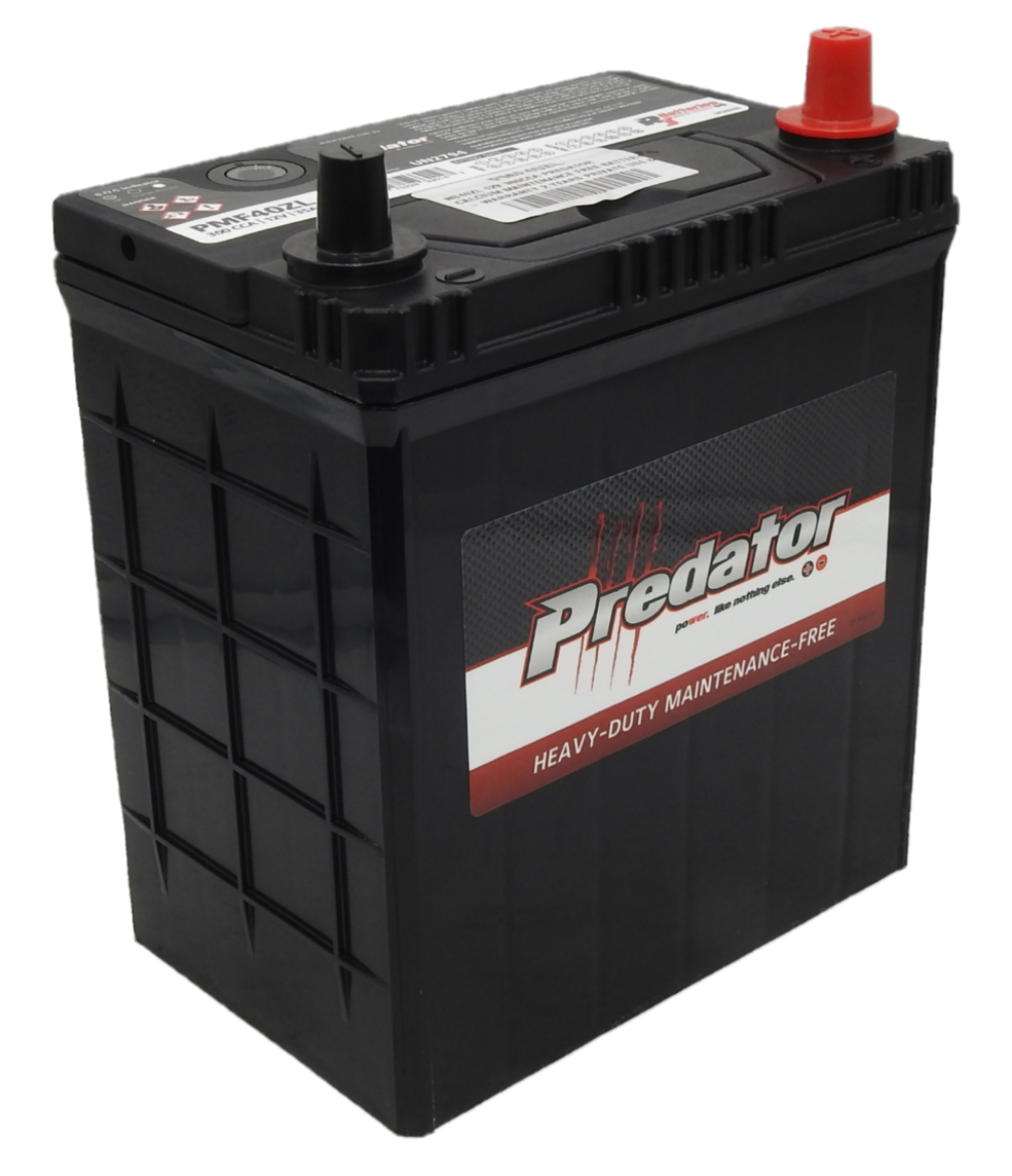 Picture of NS40ZL - 12VOLT 300CCA PREDATOR CALCIUM MAINTENANCE FREE BATTERY  - RHP