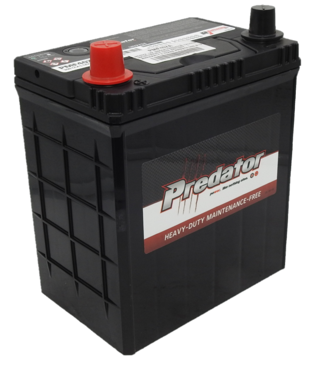 Picture of NS40ZA - 12VOLT 300CCA PREDATOR CALCIUM MAINTENANCE FREE BATTERY - LHP