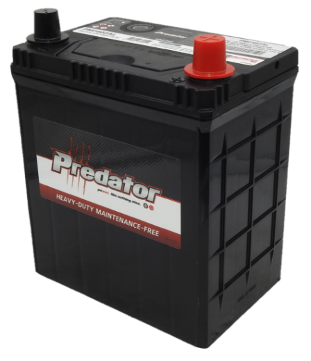 Picture of NS40ZAL - 12VOLT 300CCA PREDATOR CALCIUM MAINTENANCE FREE BATTERY - RHP