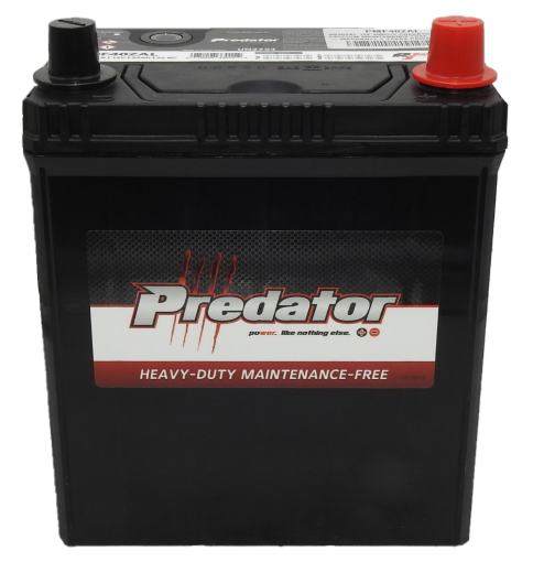 Picture of NS40ZAL - 12VOLT 300CCA PREDATOR CALCIUM MAINTENANCE FREE BATTERY - RHP