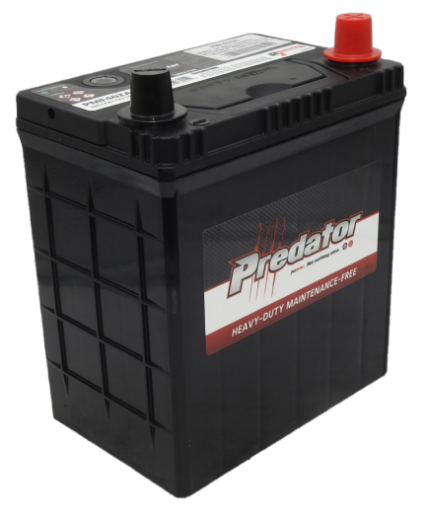Picture of NS40ZAL - 12VOLT 300CCA PREDATOR CALCIUM MAINTENANCE FREE BATTERY - RHP