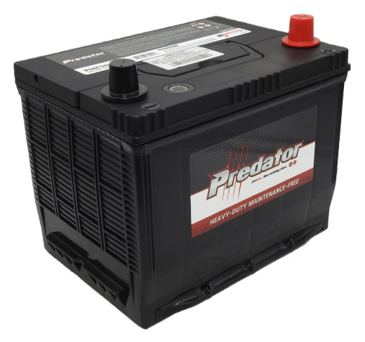 Picture of N50VT - 12VOLT 520CCA PREDATOR MAINTENANCE FREE CALCIUM BATTERY - RHP