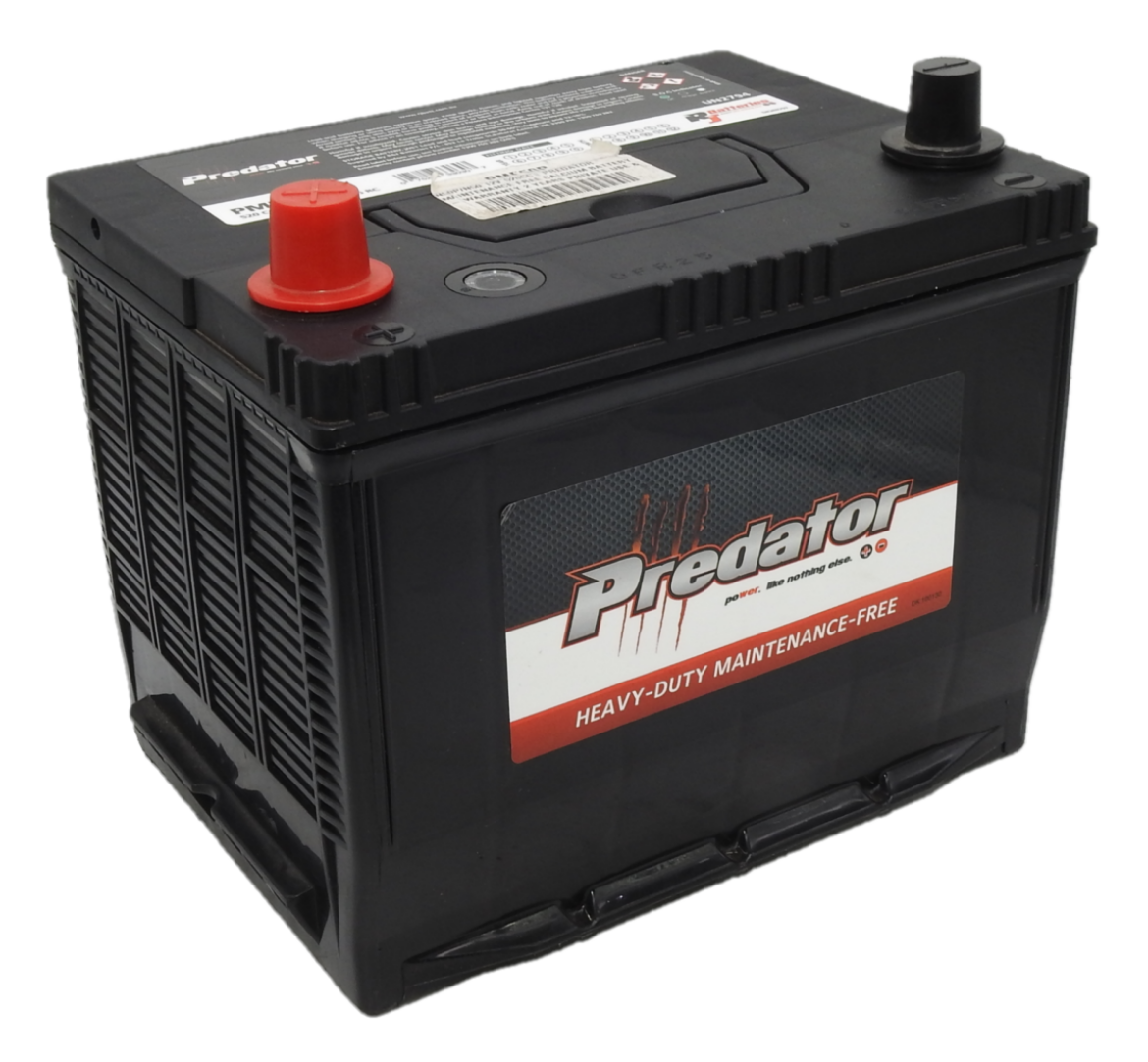 Picture of N50P/N50 - 12VOLT 520CCA PREDATOR MAINTENANCE FREE CALCIUM BATTERY - LHP