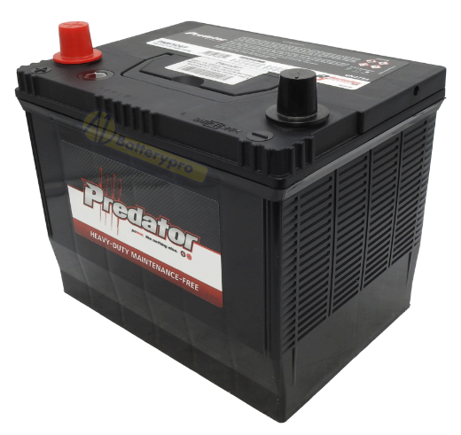 Picture of N50EF - 12VOLT 520CCA PREDATOR MAINTENANCE FREE CALCIUM BATTERY - LHP