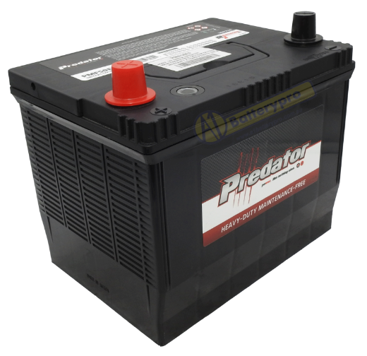 Picture of N50EF - 12VOLT 520CCA PREDATOR MAINTENANCE FREE CALCIUM BATTERY - LHP