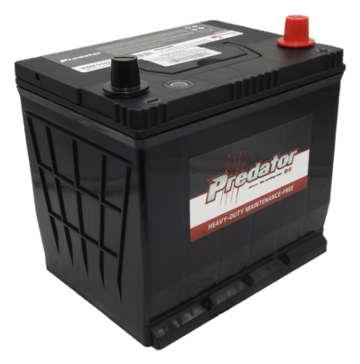 Picture of MF55D23L - 12VOLT 550CCA PREDATOR CALCIUM MAINTENANCE FREE BATTERY - RHP