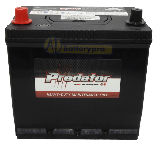 Picture of MF55D23R - 12VOLT 550CCA PREDATOR CALCIUM MAINTENANCE FREE BATTERY - LHP