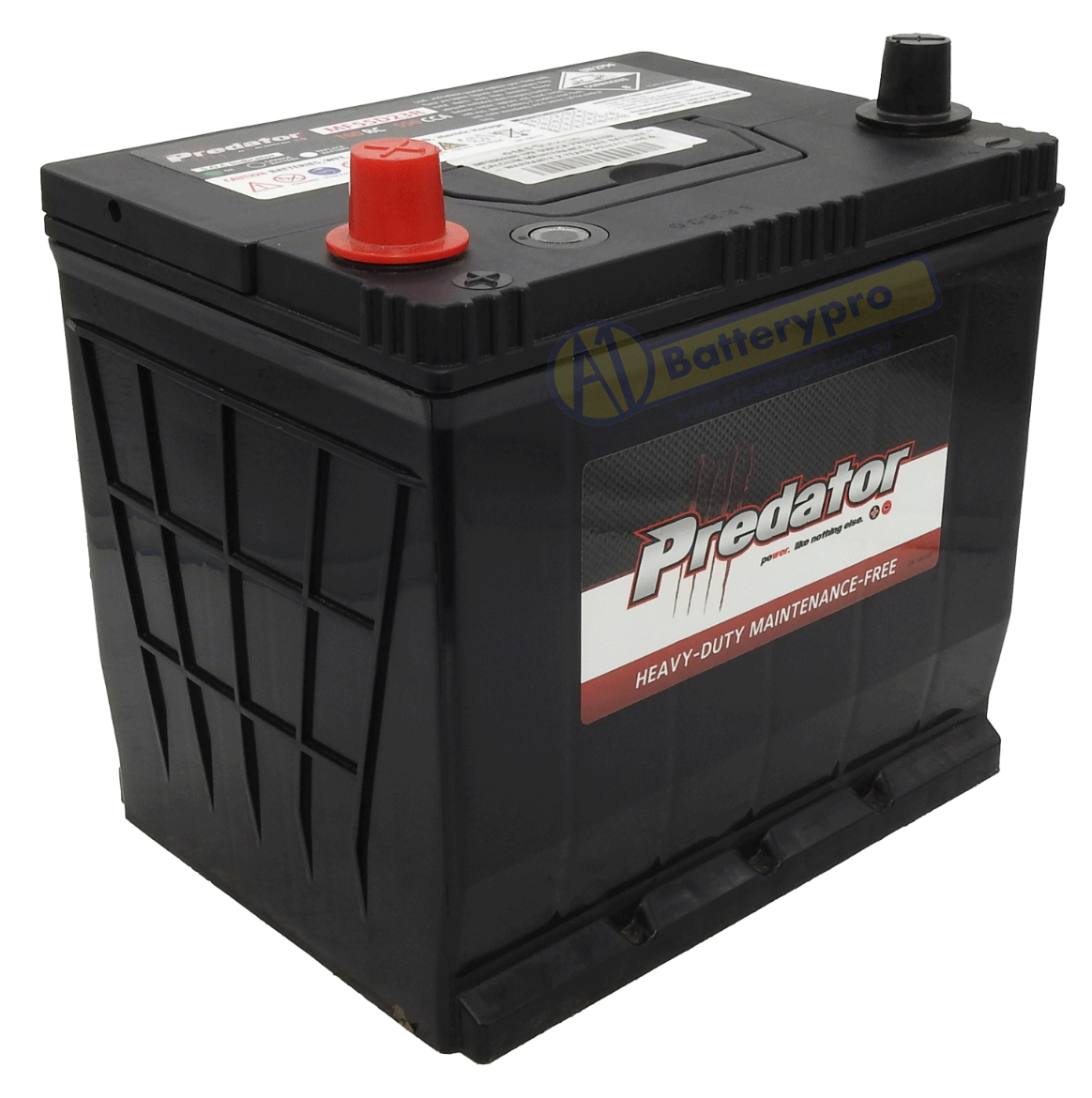 Picture of MF55D23R - 12VOLT 550CCA PREDATOR CALCIUM MAINTENANCE FREE BATTERY - LHP