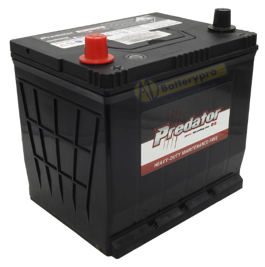 Picture of MF55D23R - 12VOLT 550CCA PREDATOR CALCIUM MAINTENANCE FREE BATTERY - LHP