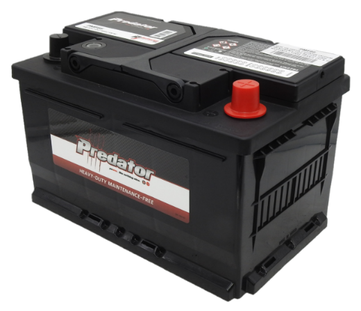 Picture of MF66 - 12VOLT 640CCA PREDATOR CALCIUM MAINTENANCE FREE BATTERY - RHP - DIN66