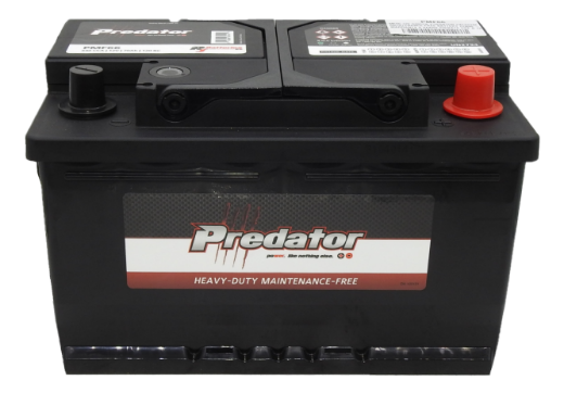 Picture of MF66 - 12VOLT 640CCA PREDATOR CALCIUM MAINTENANCE FREE BATTERY - RHP - DIN66