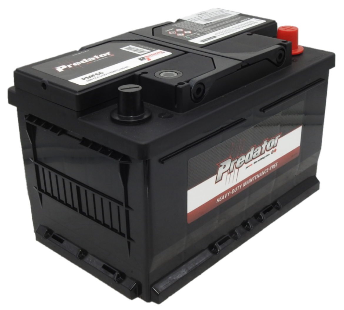 Picture of MF66 - 12VOLT 640CCA PREDATOR CALCIUM MAINTENANCE FREE BATTERY - RHP - DIN66
