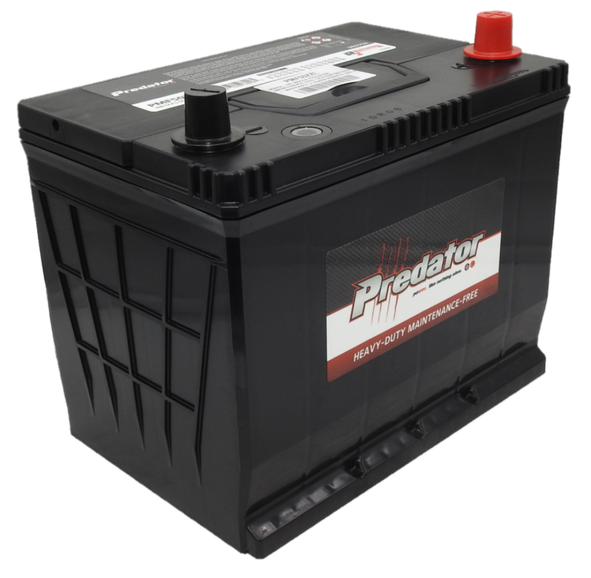 Picture of N50ZZL - 12VOLT 600CCA PREDATOR MAINTENANCE FREE CALCIUM BATTERY - RHP