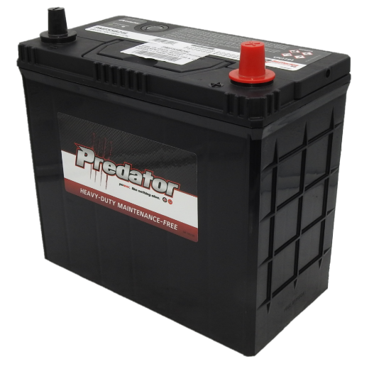 Picture of NS60L - 12VOLT 430CCA PREDATOR CALCIUM MAINTENANCE FREE BATTERY  - RHP