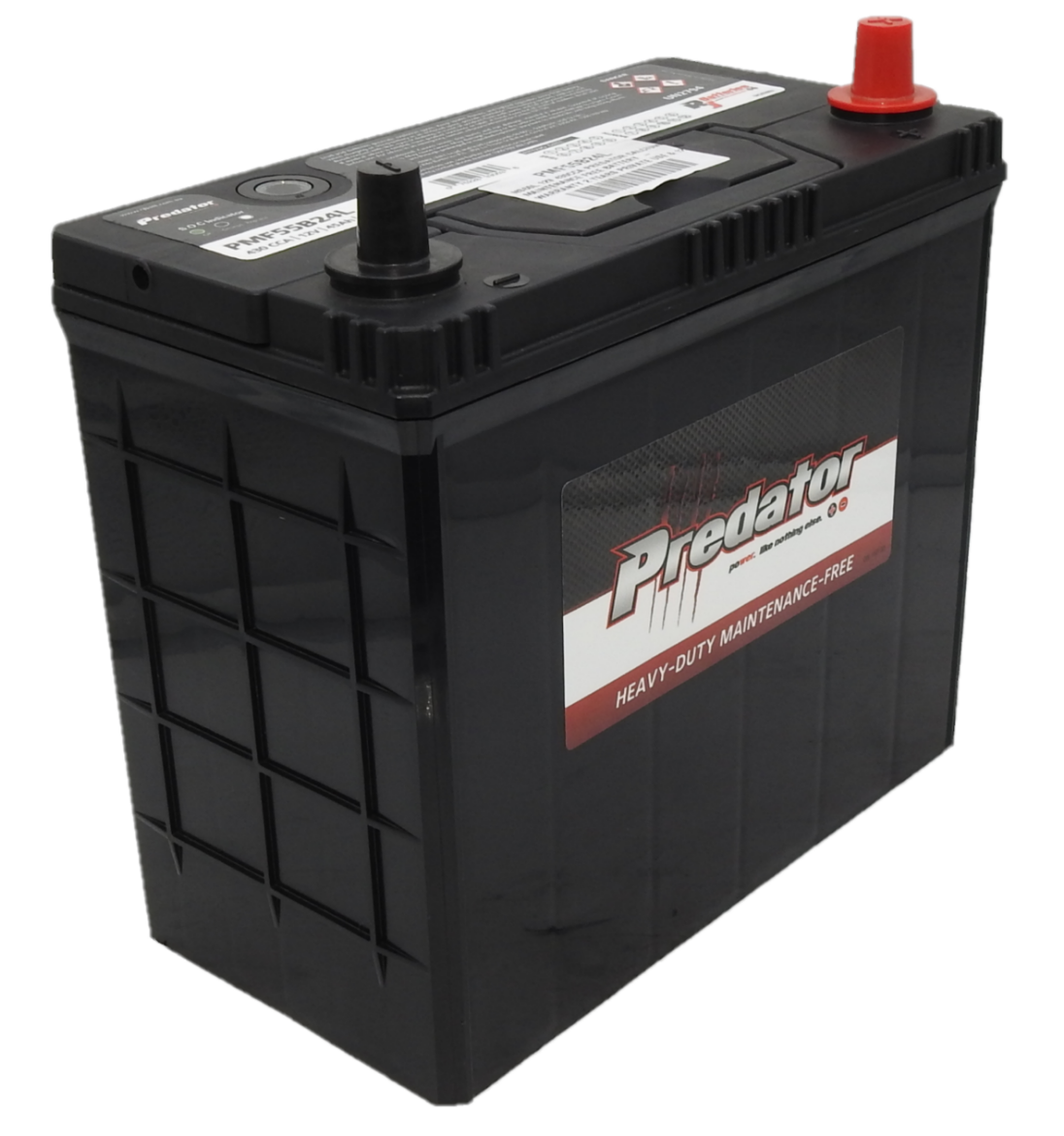 Picture of NS60L - 12VOLT 430CCA PREDATOR CALCIUM MAINTENANCE FREE BATTERY  - RHP