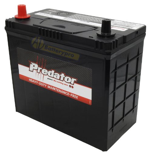 Picture of NS60 - 12VOLT 430CCA PREDATOR CALCIUM MAINTENANCE FREE BATTERY  - LHP