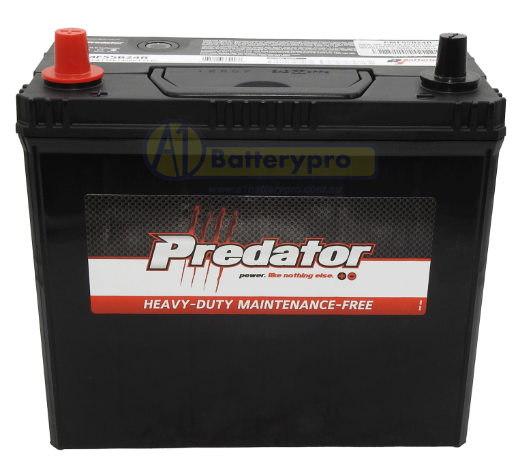 Picture of NS60 - 12VOLT 430CCA PREDATOR CALCIUM MAINTENANCE FREE BATTERY  - LHP