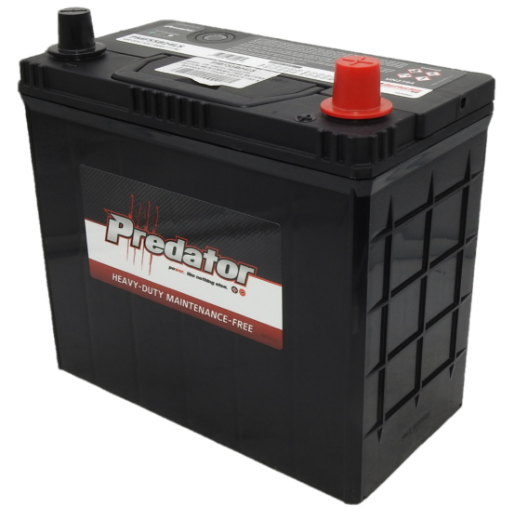 Picture of NS60AL - 12VOLT 430CCA PREDATOR CALCIUM MAINTENANCE FREE BATTERY  - RHP