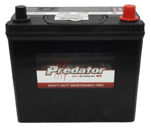 Picture of NS60AL - 12VOLT 430CCA PREDATOR CALCIUM MAINTENANCE FREE BATTERY  - RHP