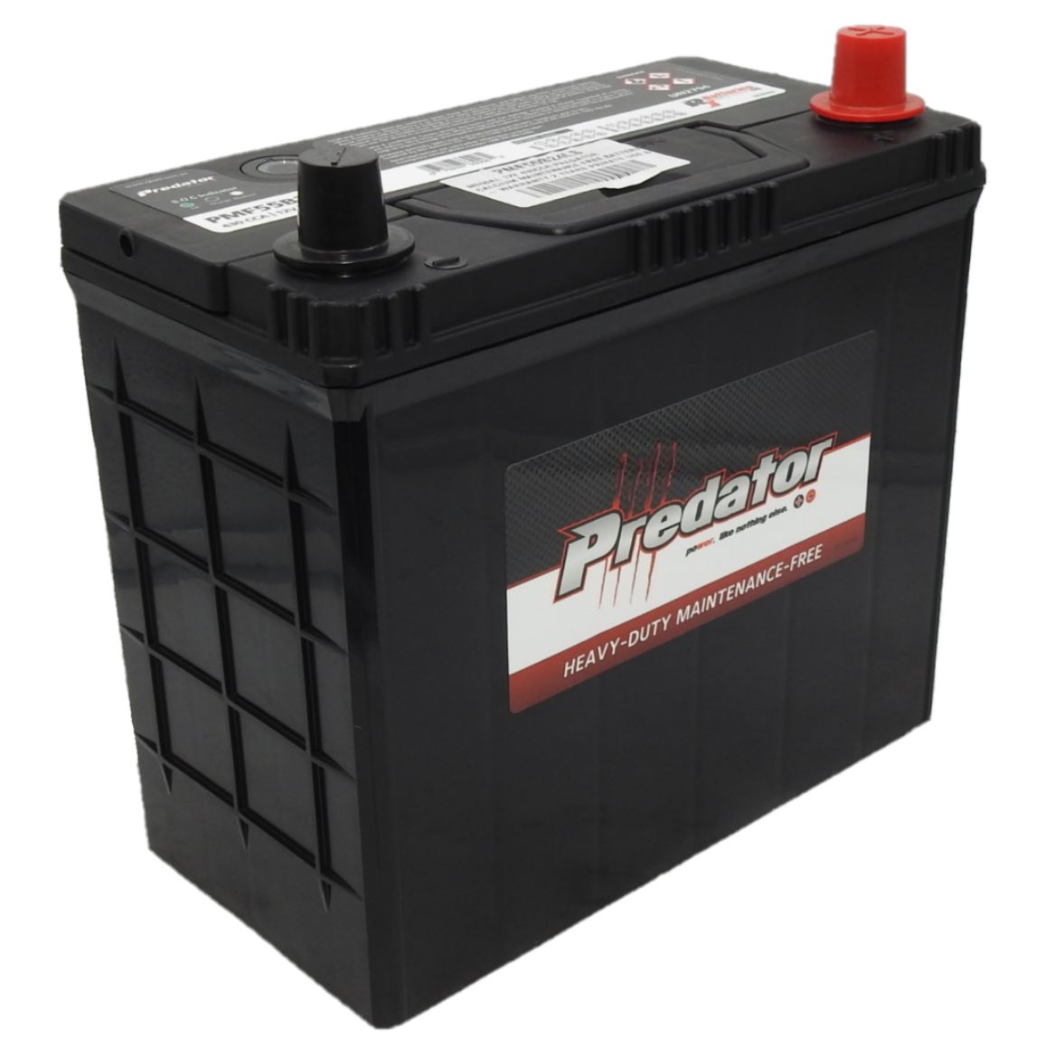 Picture of NS60AL - 12VOLT 430CCA PREDATOR CALCIUM MAINTENANCE FREE BATTERY  - RHP