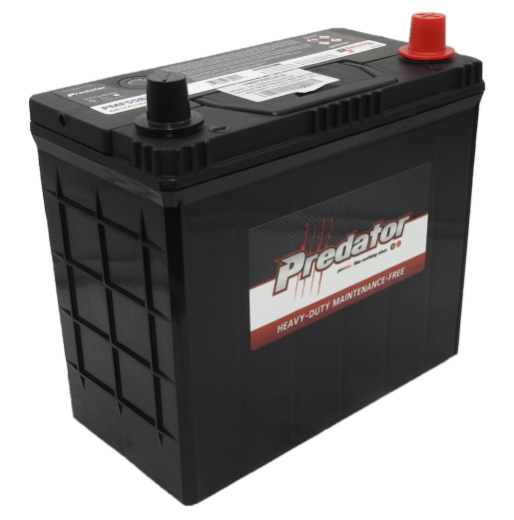 Picture of NS60AL - 12VOLT 430CCA PREDATOR CALCIUM MAINTENANCE FREE BATTERY  - RHP