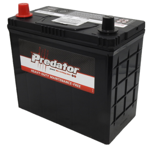 Picture of NS60A - 12VOLT 430CCA PREDATOR CALCIUM MAINTENANCE FREE BATTERY - LHP
