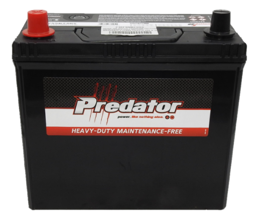Picture of NS60A - 12VOLT 430CCA PREDATOR CALCIUM MAINTENANCE FREE BATTERY - LHP