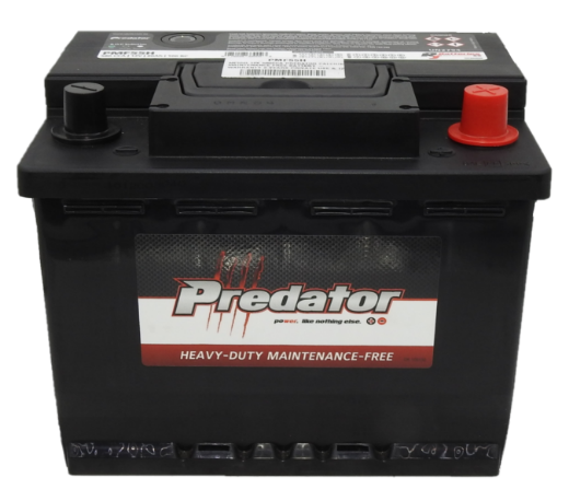 Picture of MF55H - 12VOLT 580CCA PREDATOR CALCIUM MAINTENANCE FREE BATTERY - RHP