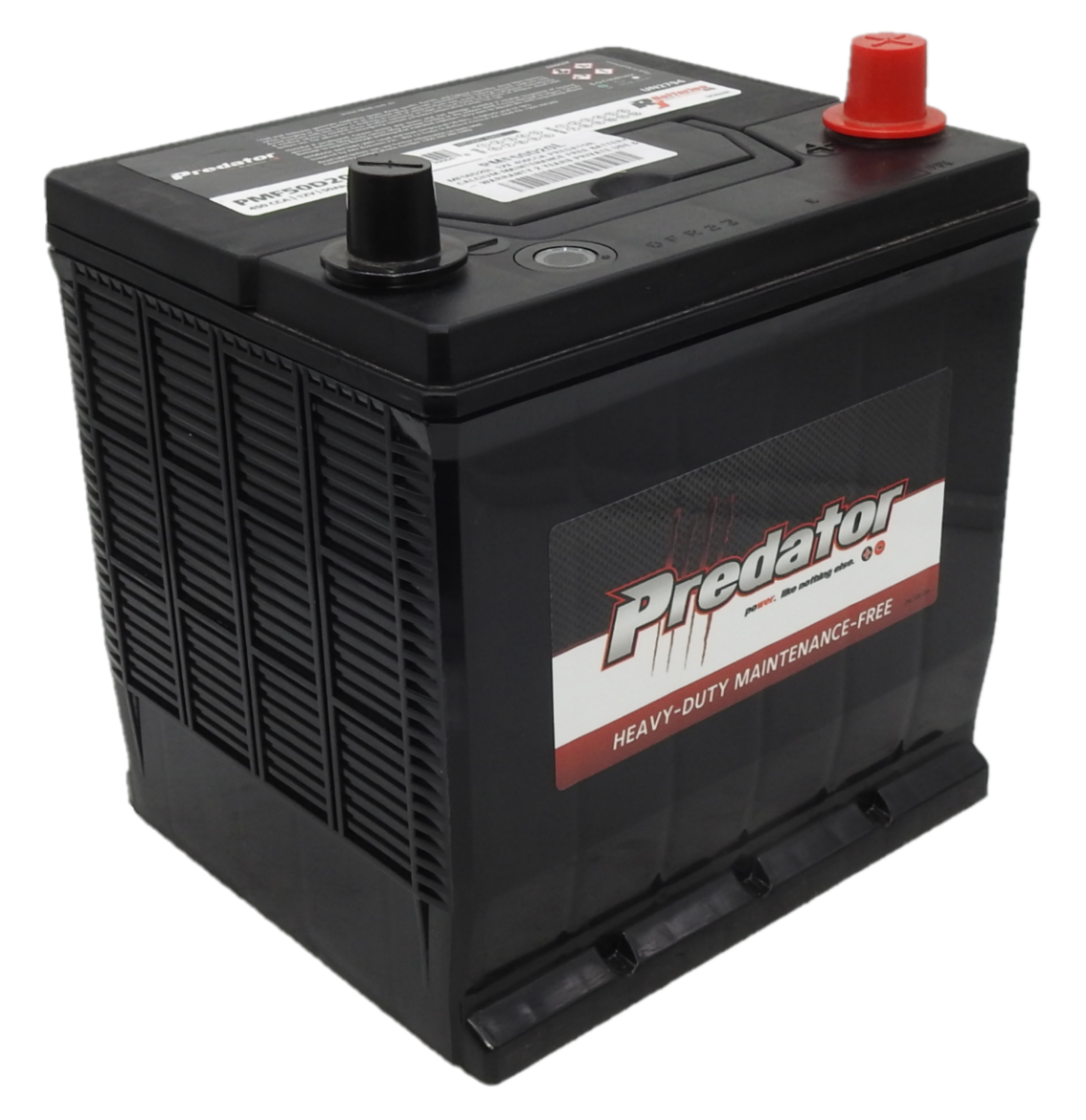 Picture of MF50D20L - 12VOLT 450CCA PREDATOR CALCIUM MAINTENANCE FREE BATTERY - RHP