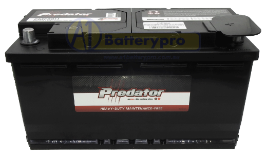 Picture of MF88H - 12VOLT 820CCA PREDATOR CALCIUM MAINTENANCE FREE BATTERY - RHP
