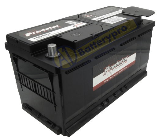 Picture of MF88H - 12VOLT 820CCA PREDATOR CALCIUM MAINTENANCE FREE BATTERY - RHP