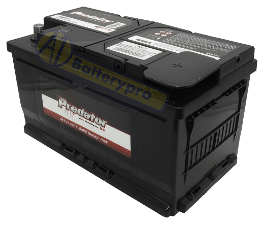 Picture of MF77 - 12VOLT 680CCA 80AH PREDATOR CALCIUM MAINTENANCE FREE BATTERY - RHP