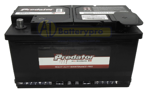 Picture of MF77 - 12VOLT 680CCA 80AH PREDATOR CALCIUM MAINTENANCE FREE BATTERY - RHP