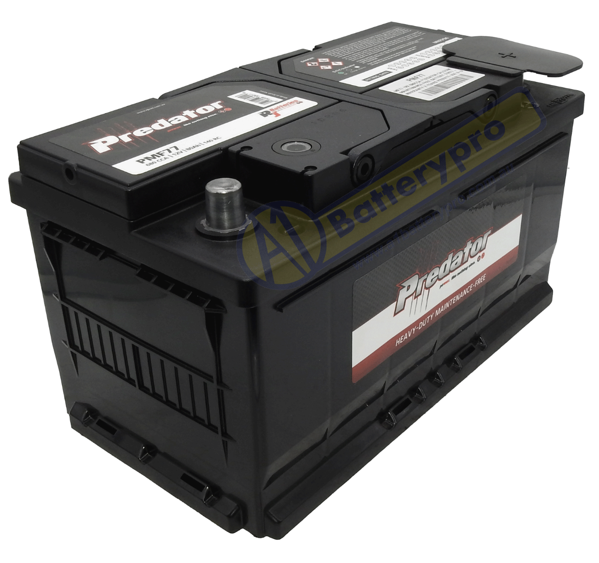 Picture of MF77 - 12VOLT 680CCA 80AH PREDATOR CALCIUM MAINTENANCE FREE BATTERY - RHP