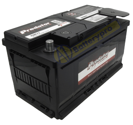 Picture of MF77 - 12VOLT 680CCA 80AH PREDATOR CALCIUM MAINTENANCE FREE BATTERY - RHP