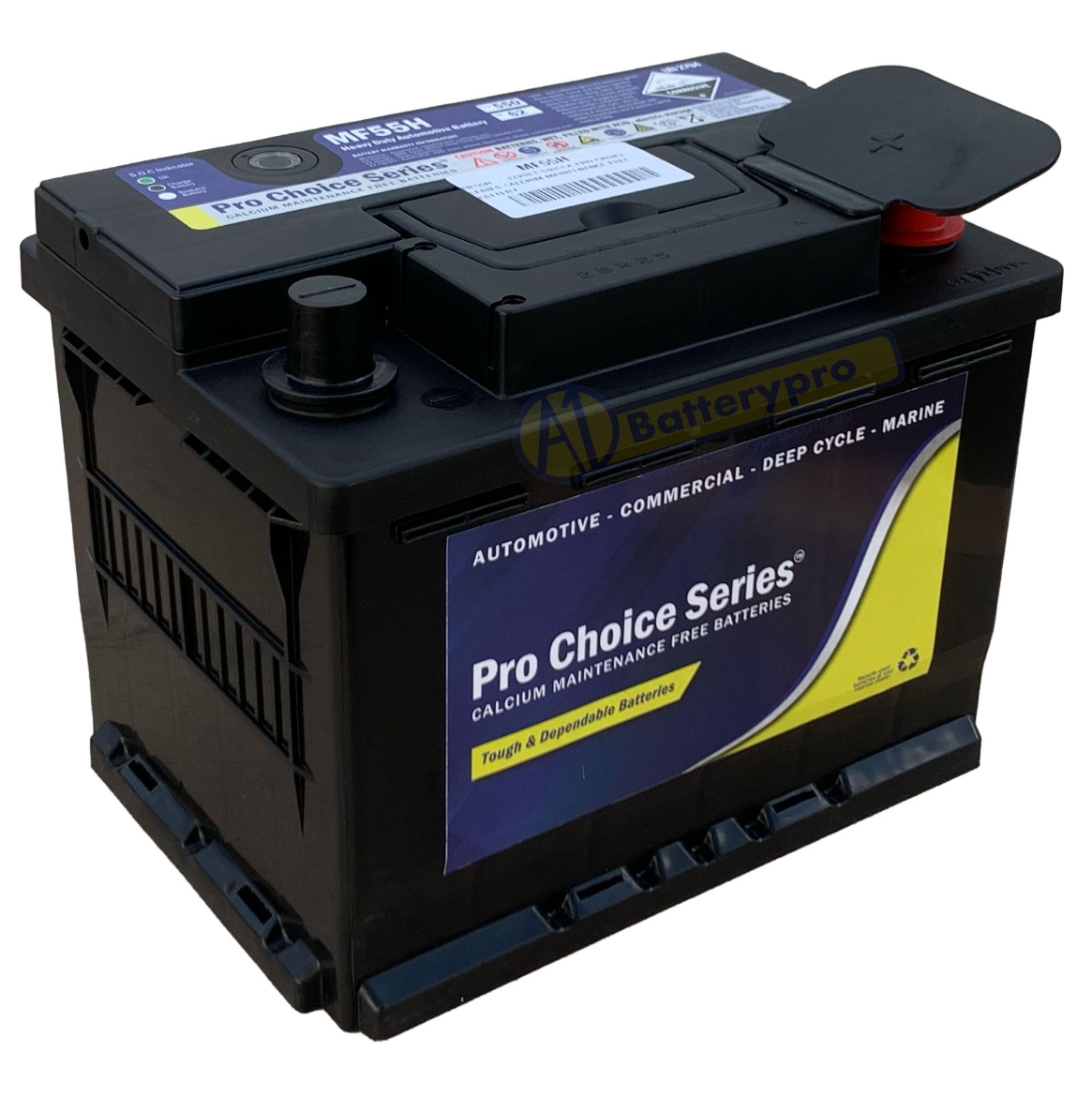 Picture of MF55H - 12VOLT 550CCA PRO CHOICE SERIES CALCIUM MAINTENANCE FREE BATTERY - RHP