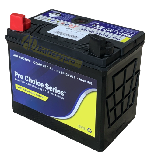 Picture of 12N24-4 - PRO CHOICE SERIES BATTERY -  LHP