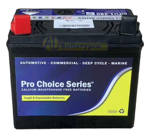Picture of 12N24-4 - PRO CHOICE SERIES BATTERY -  LHP