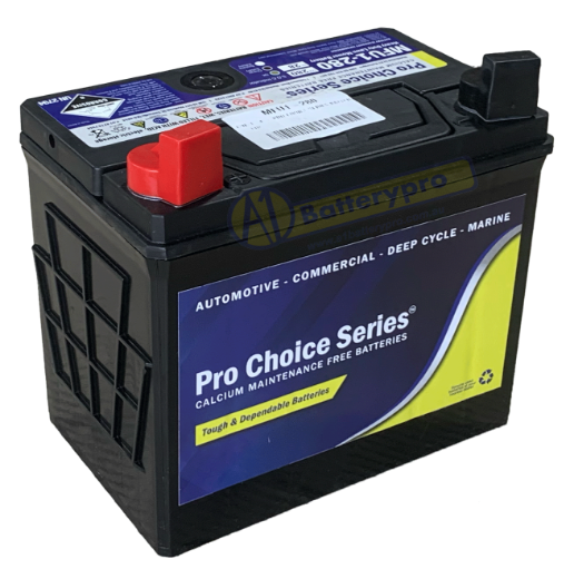 Picture of 12N24-4 - PRO CHOICE SERIES BATTERY -  LHP