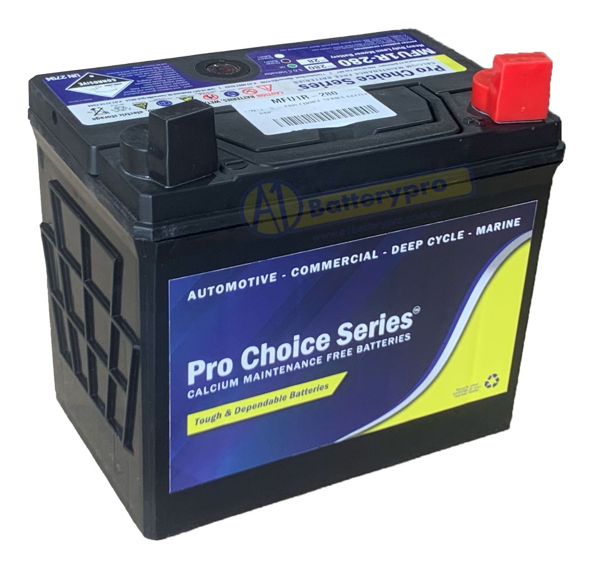 Picture of 12N24-3 - PRO CHOICE SERIES BATTERY -  RHP